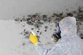 Best Environmental Consulting for Mold Prevention  in Loving, NM